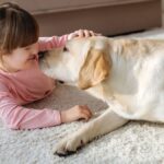 Flicka med rosa tröja leker med en hund på en matta.