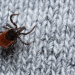 Fästing på stickat plagg