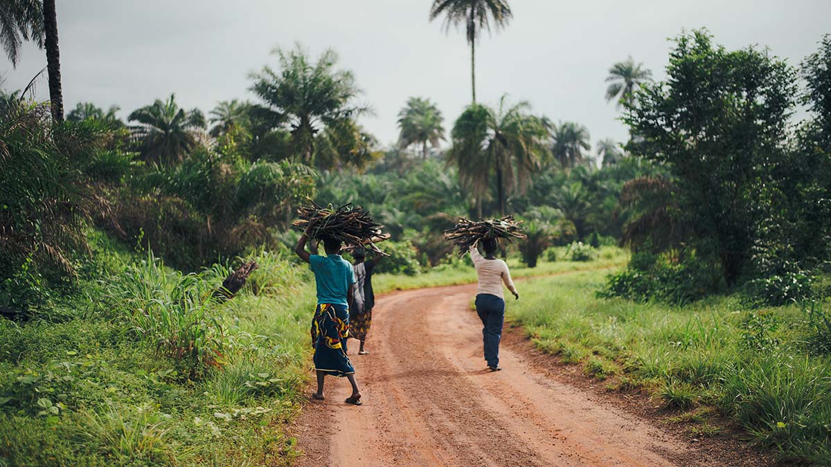 Kvinnor med insamlad ved på en skogsväg i Afrik.a