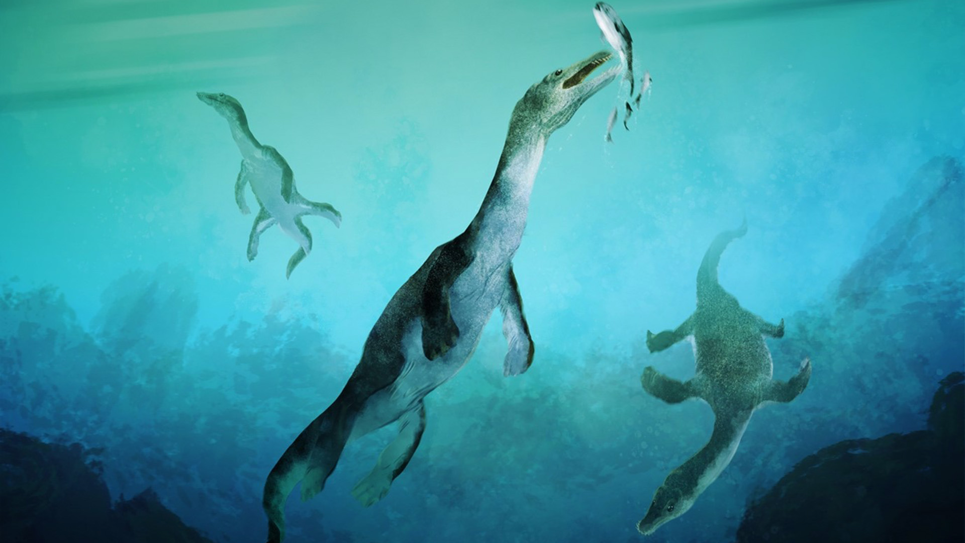 Dinasaurie med paddelliknande ben fångar en fisk i havet.