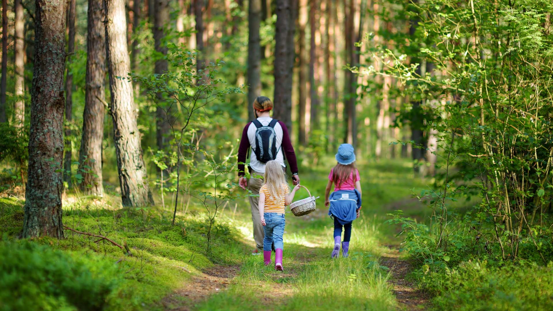 Två barn med svampkorg ute i skogen med vuxen.