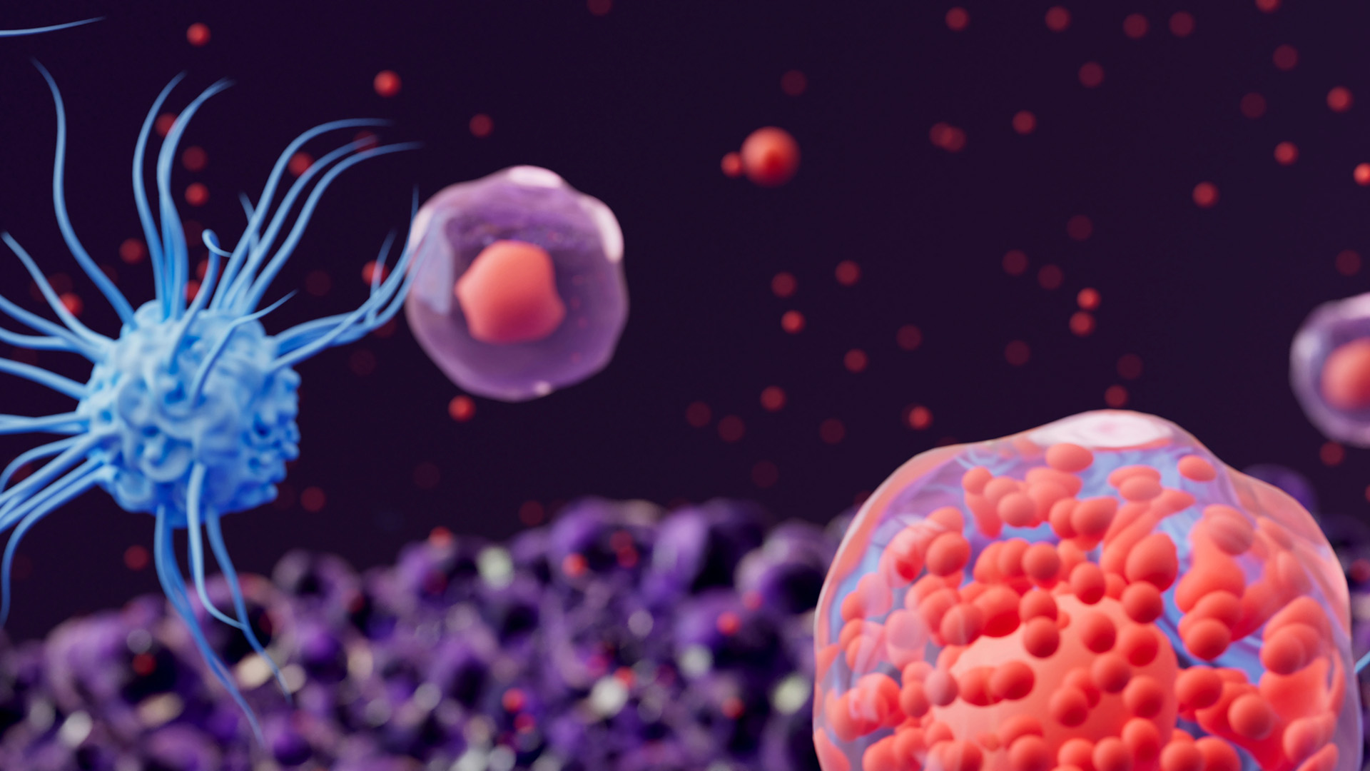 Illustration visar immunceller och cytokiner.