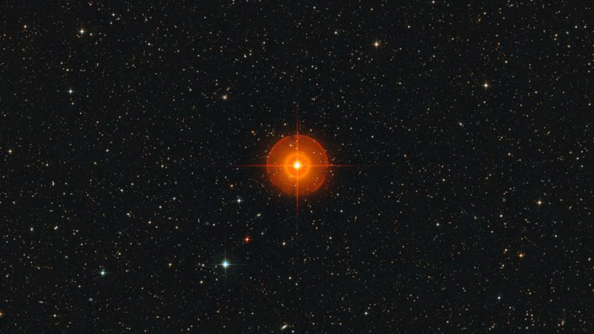 La superficie della stella ribollente è catturata nella foto