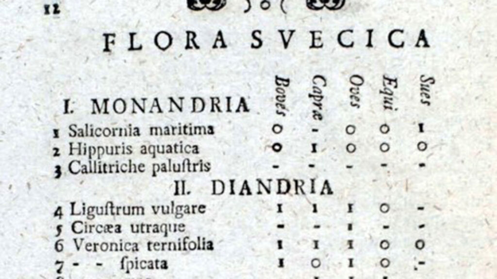 Tabell med kolumner.