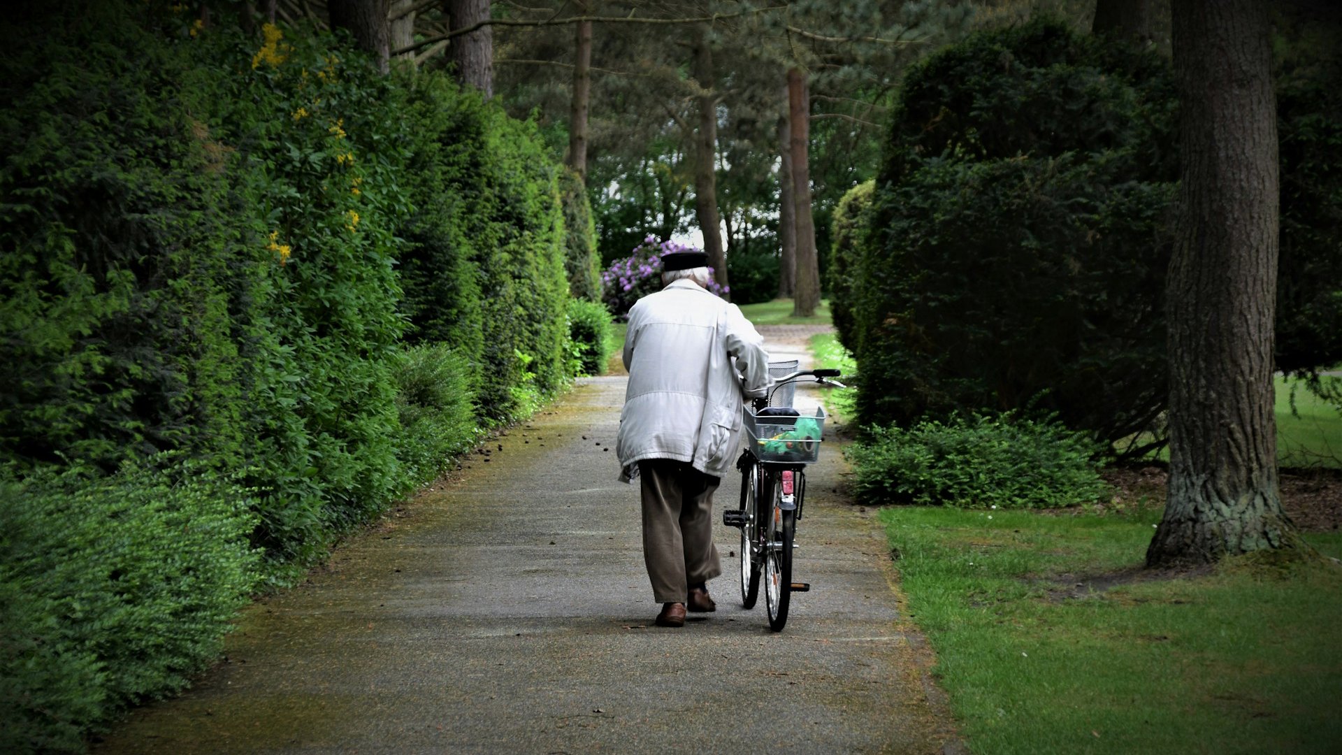 Äldre person i långbyxor och jacka leder cykel genom grön och lummig park.