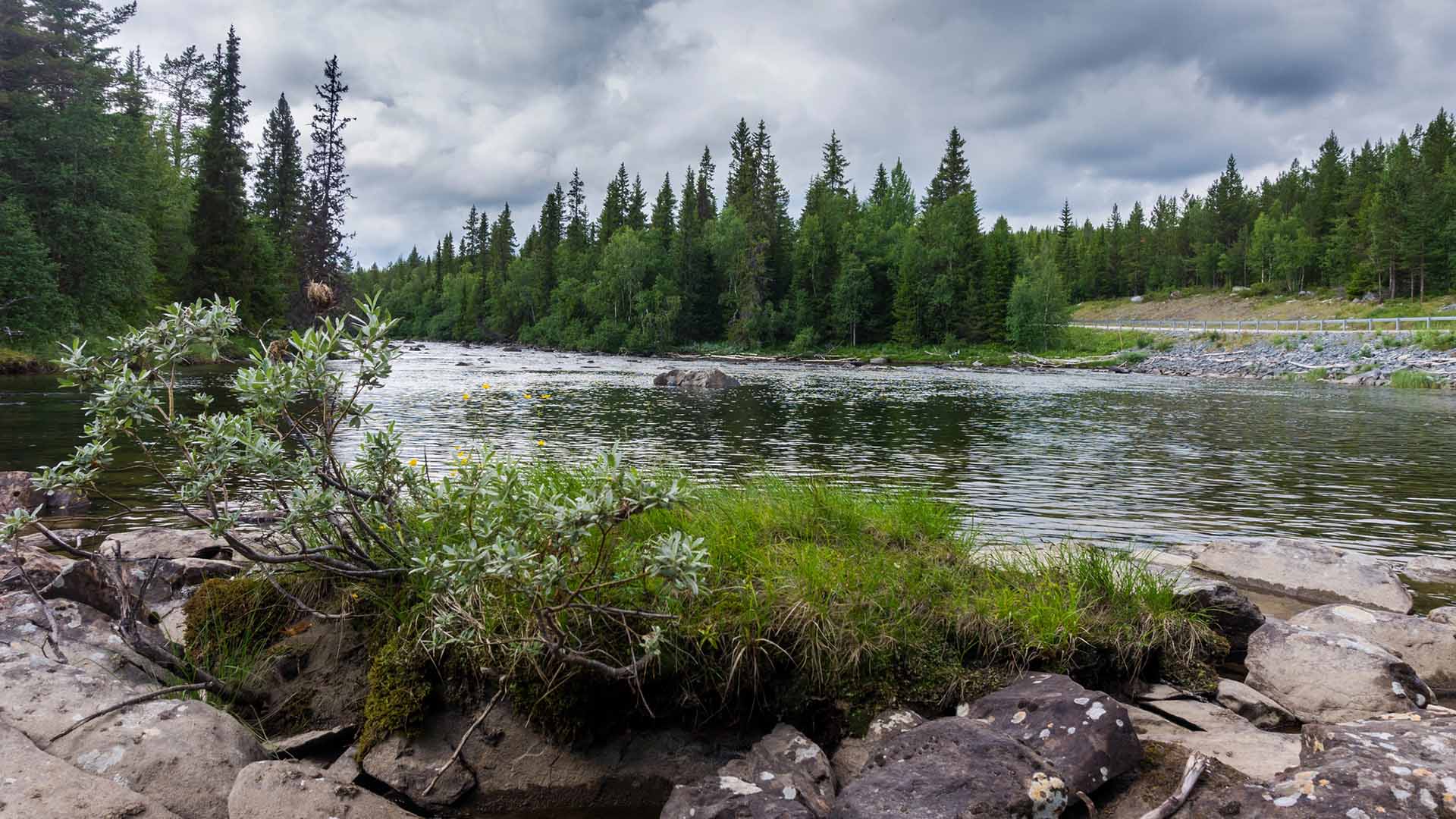 Stenar vid kanten till älven Ljungan