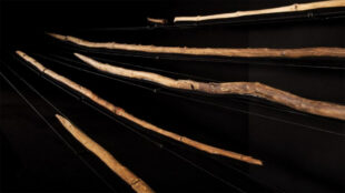 Träspjut, lite krokiga, med spetsar.