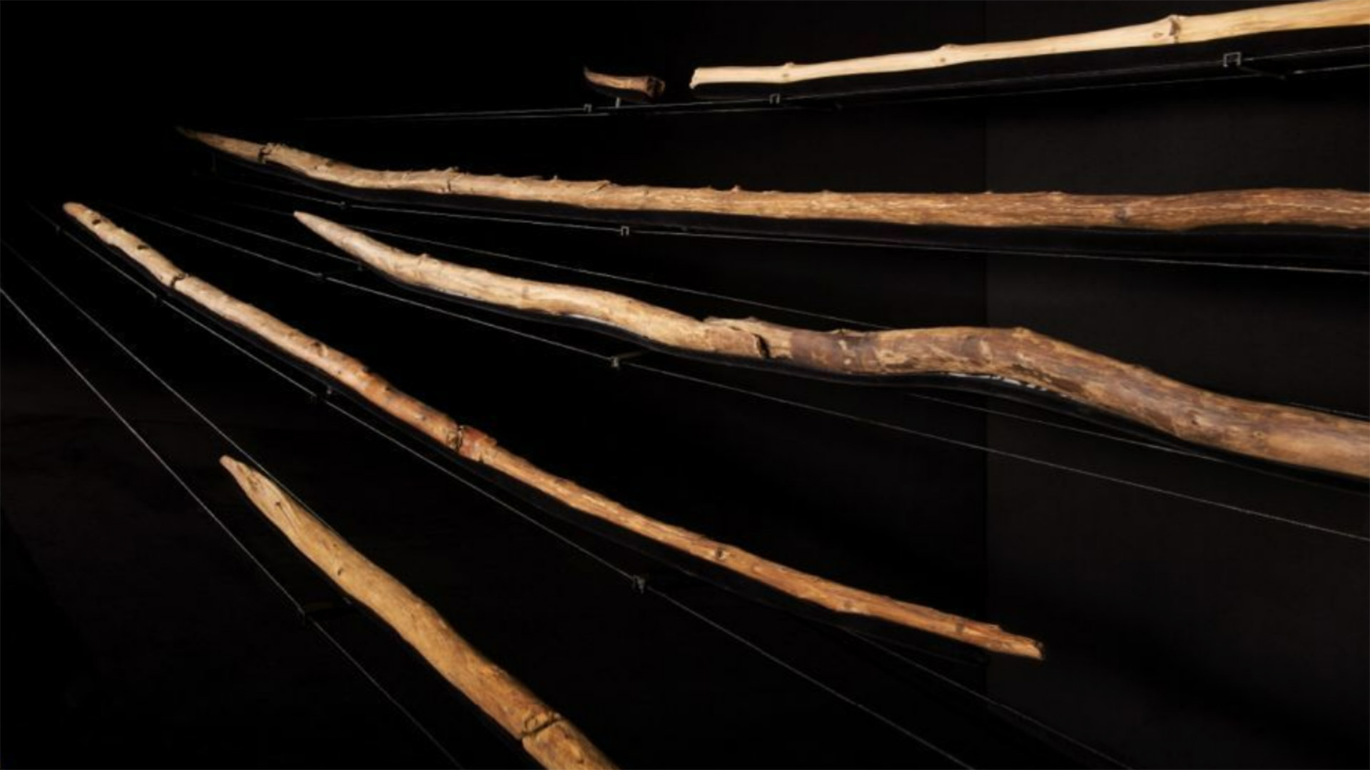 Träspjut, lite krokiga, med spetsar.