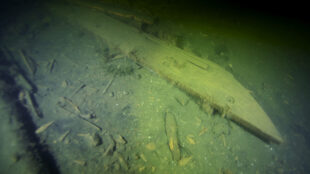 En trästycke som ser ut som en planka med vinklad spets.