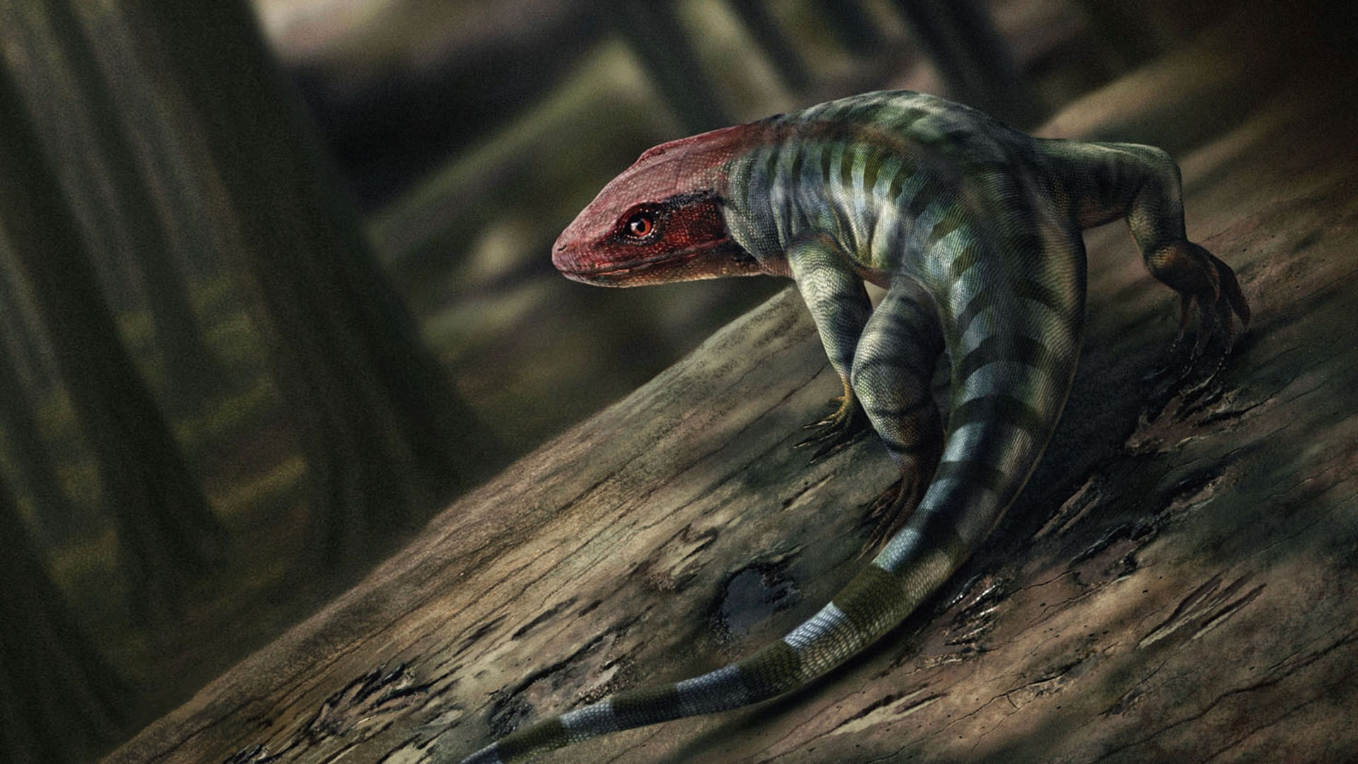 En reptil som ser ut som en ödla med rött huvud.