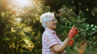 Äldre kvinna beskär en buske i trädgård.