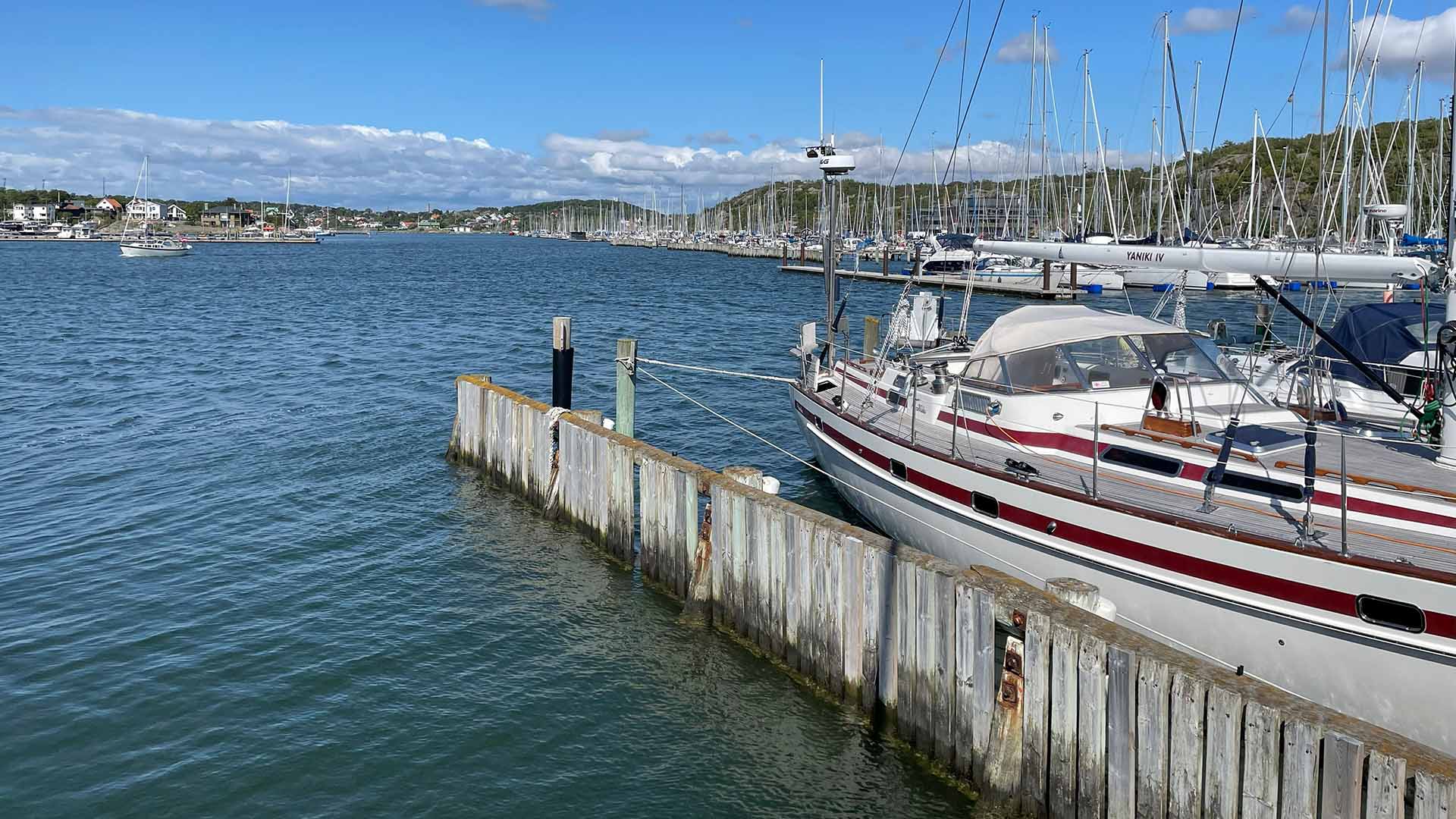 Hamn med segelbåtar.