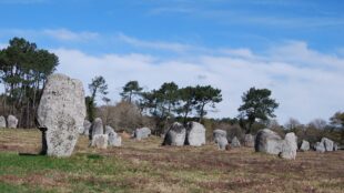 Ett fält med höga och lägre stenar.