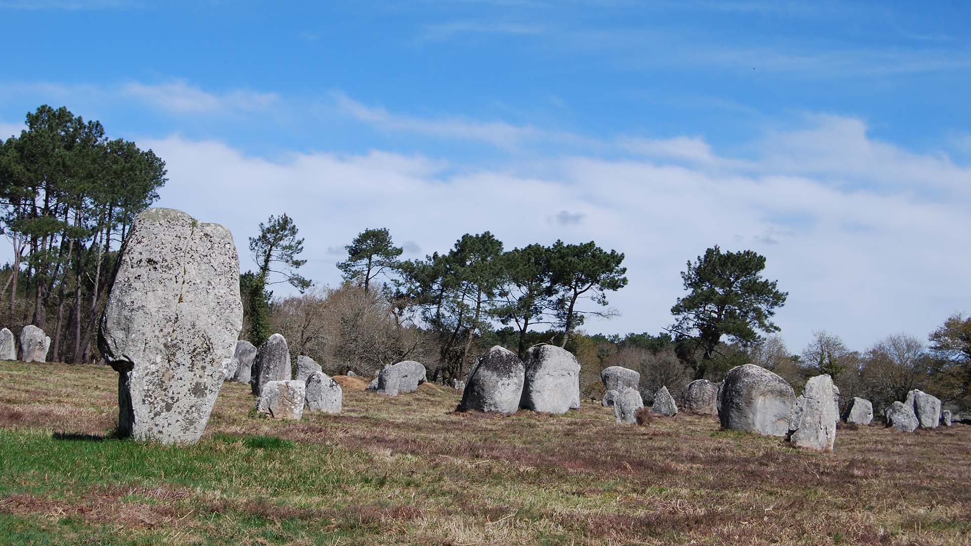 Ett fält med höga och lägre stenar.