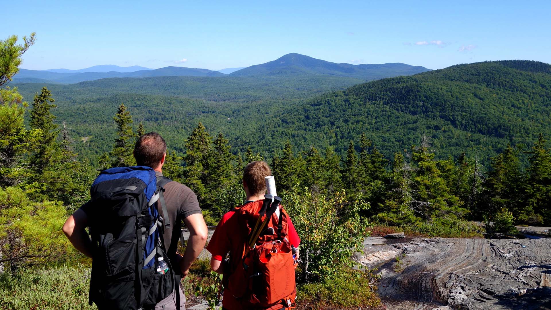 Man med barn beundrar utsikt över natur med mycket skog.