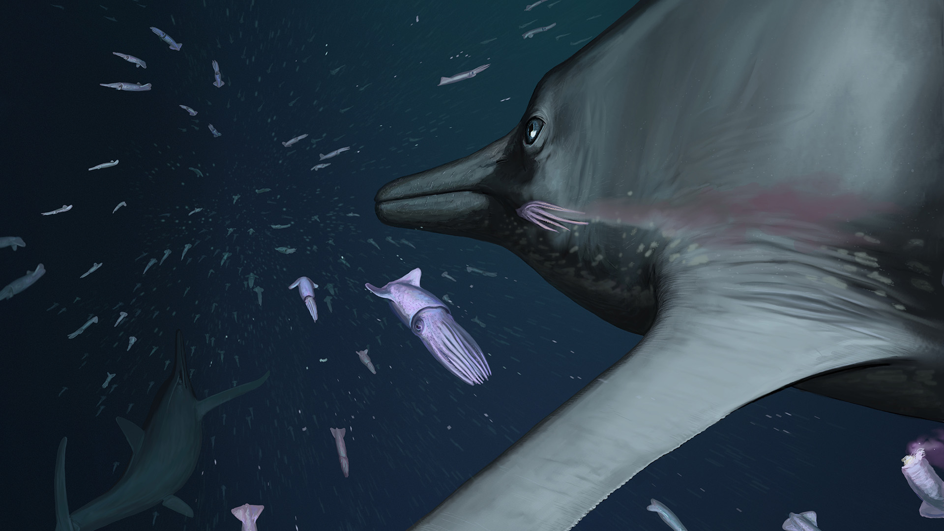 Stor delfinliknande havsreptil jagar omgiven av mindre arter.