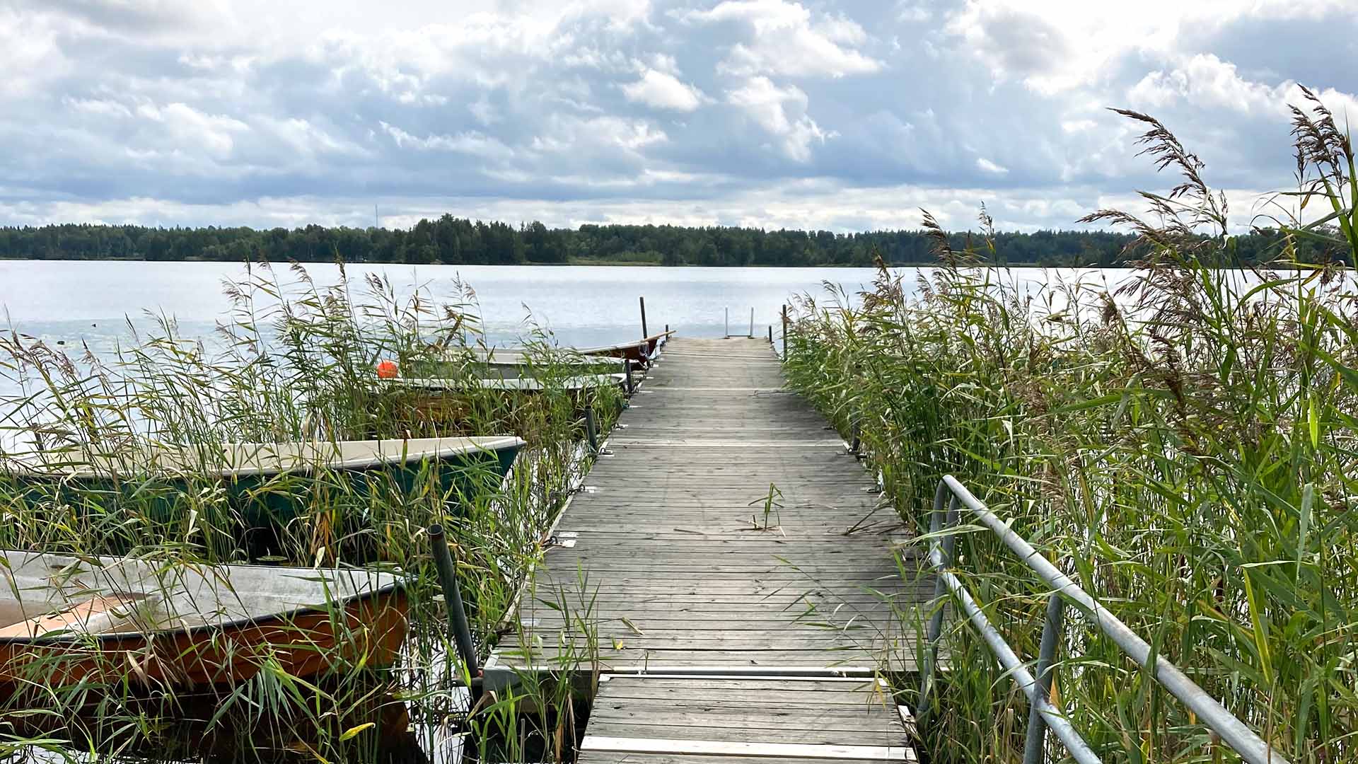 Brygga med båtar och sjöväxter som vass.