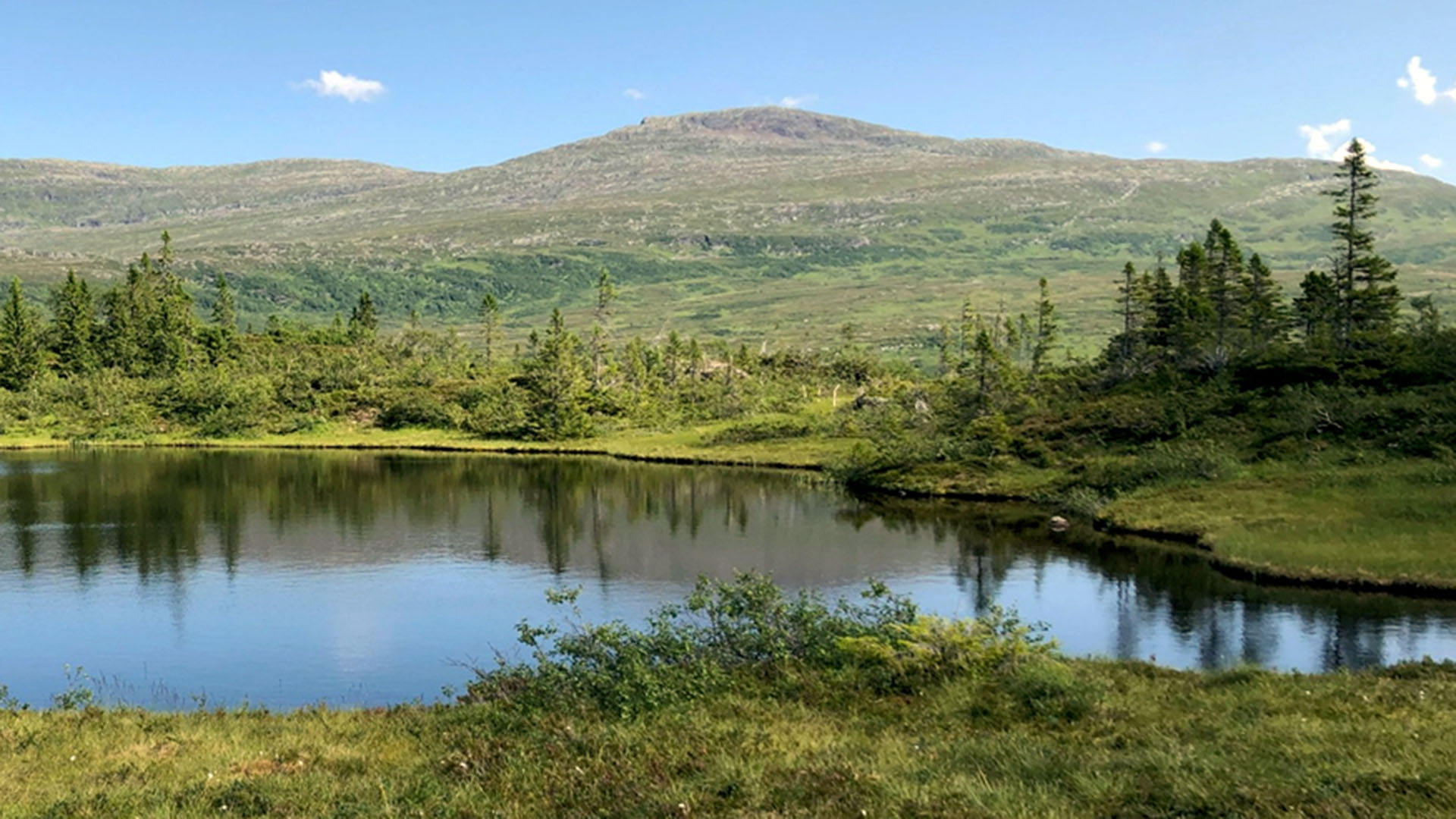 Sjö omgiven av gröna fjäll.