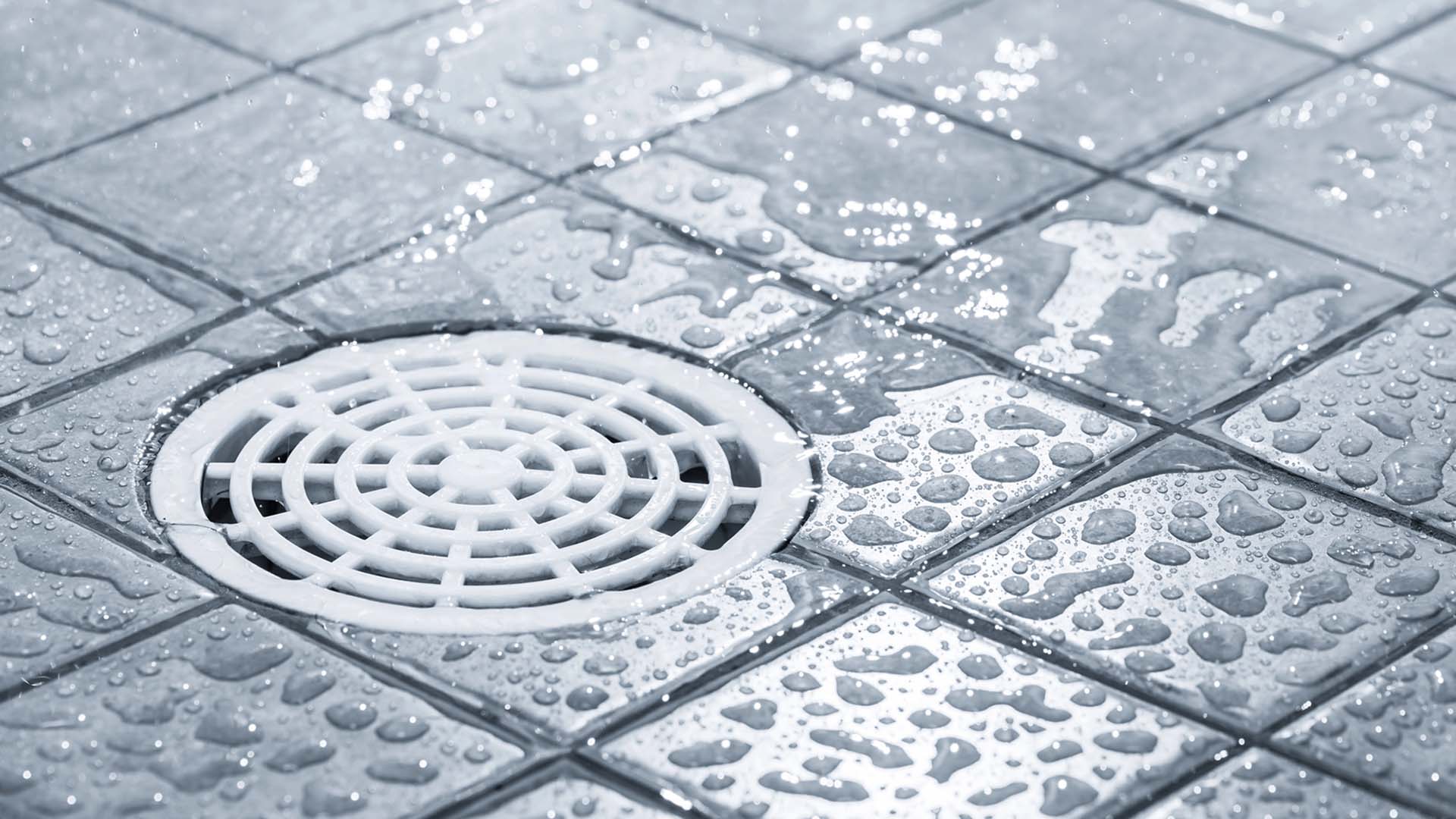 Vatten vid duschavlopp.