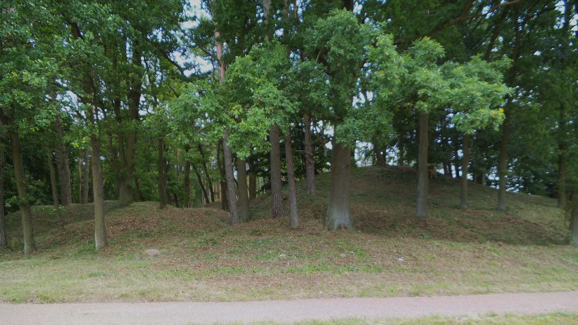 Stora gravhögar som bildar kullar bland träd.