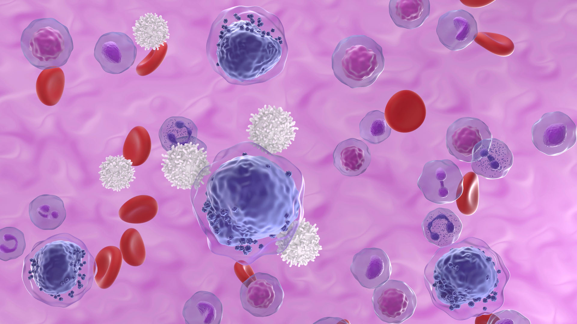 Celler i blodbanan. t-celler omringar stora cancerceller.