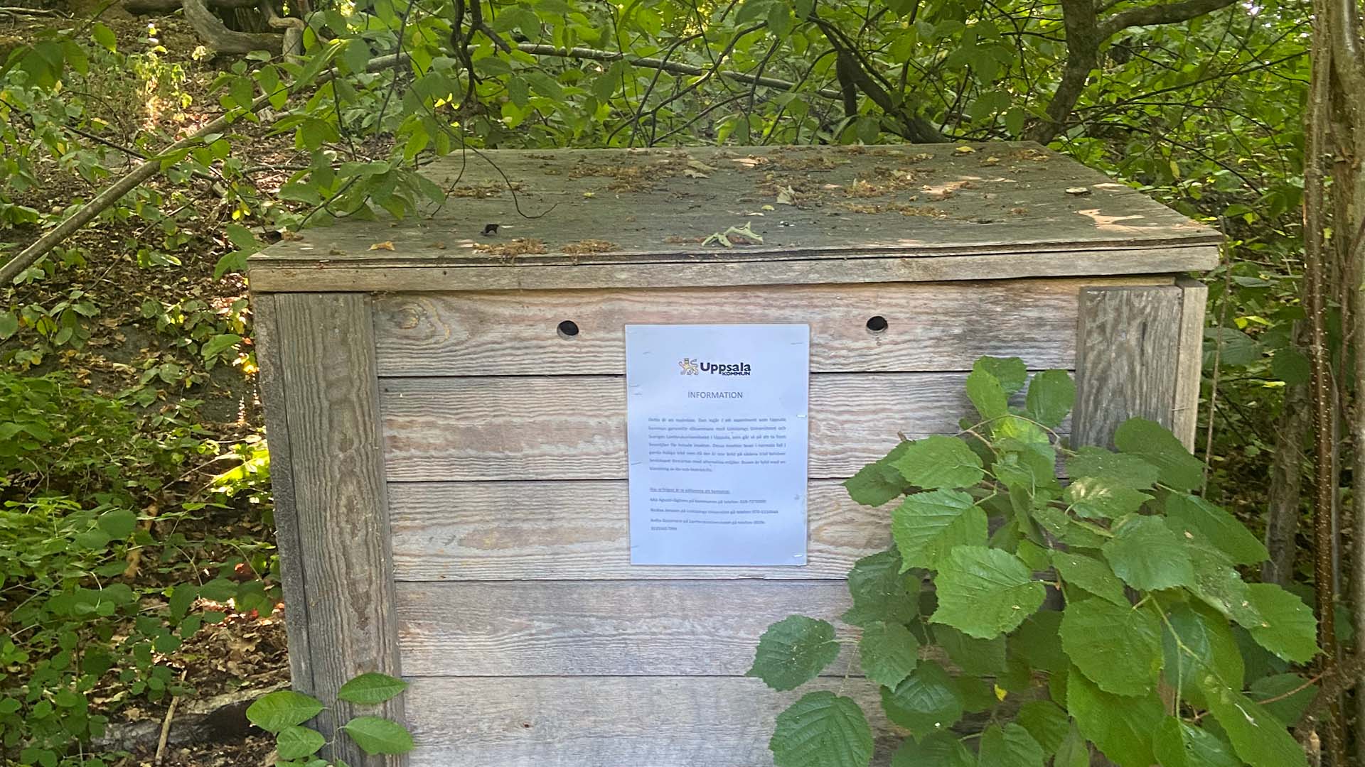 Trälåda, cirka en meter bred, med lufthål i naturen