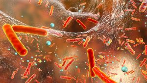 Biofilm som omger bakterier.