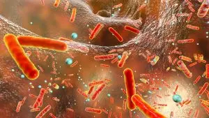 Biofilm som omger bakterier.