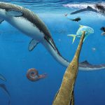 Under vattenytan simmar olika havsreptiler omkring.