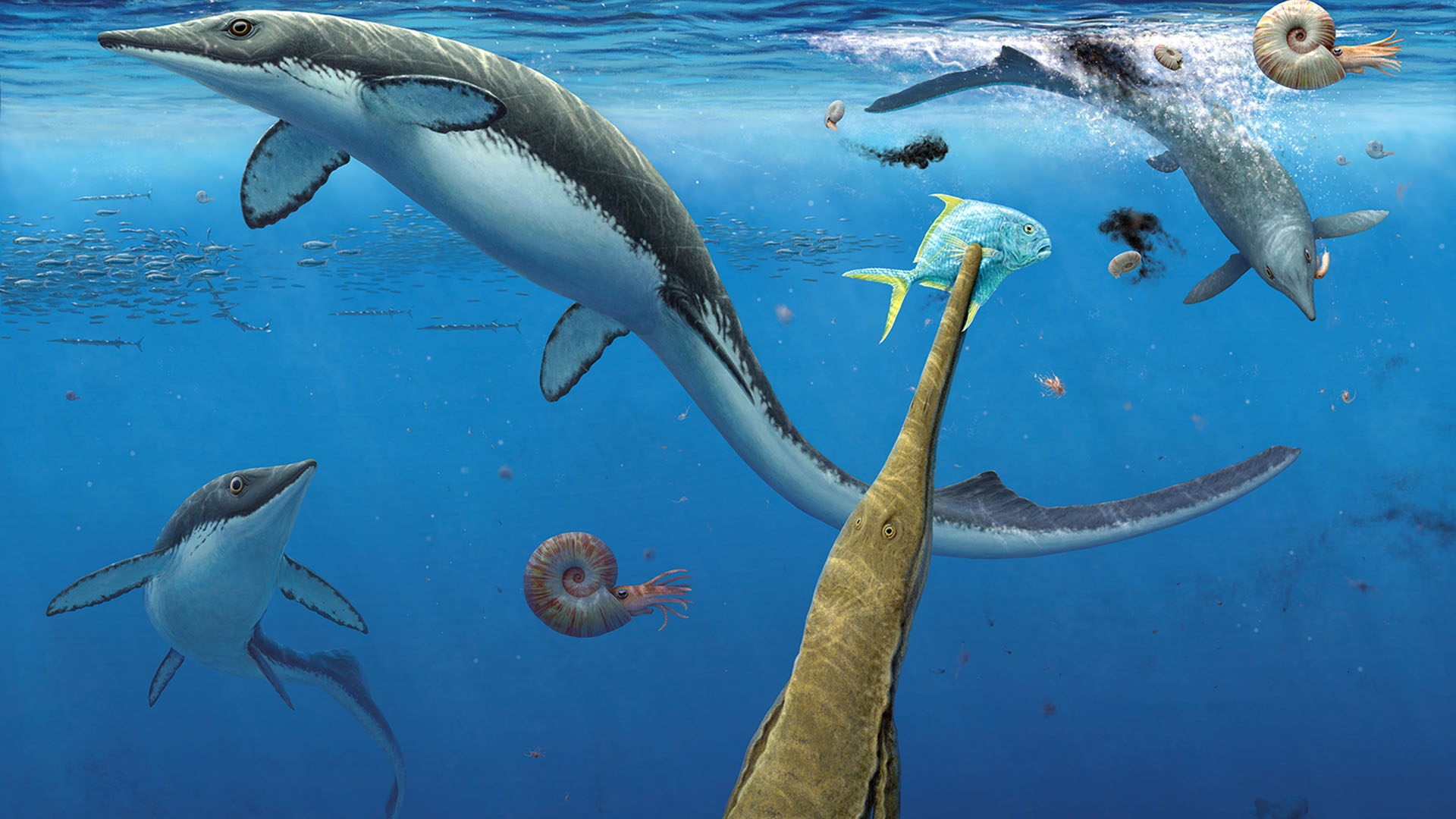 Under vattenytan simmar olika havsreptiler omkring.