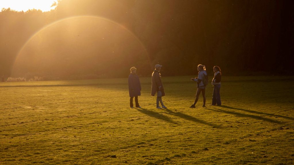 Fyra ungdomar står på grönt fält, i sent eftermiddagsljus.