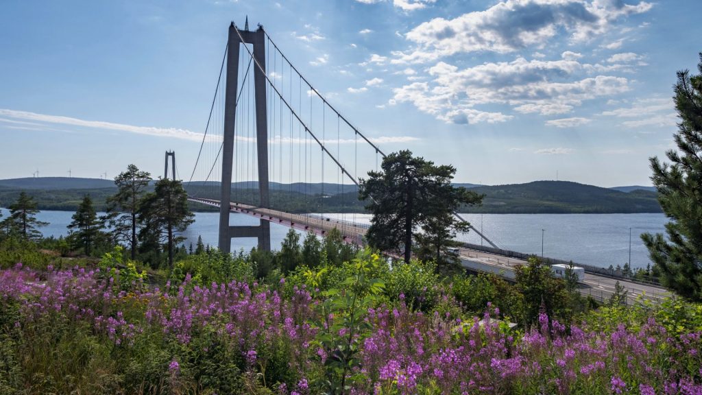 Sommarlandskap med lila blommor, buskar, träd, älv och en bro med ett högt brospann, Höga kusten.
