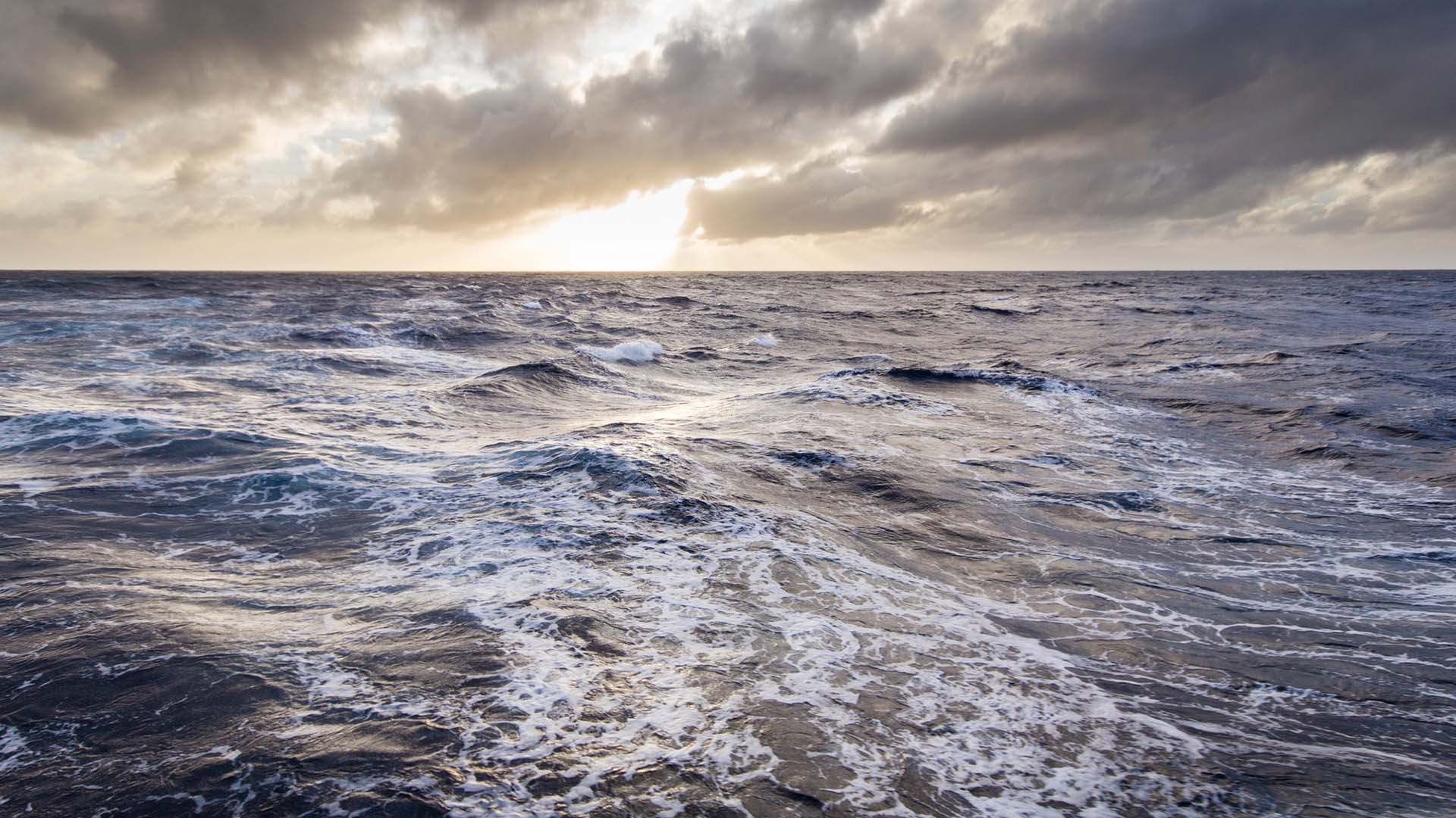 Vågor i Södra ishavet