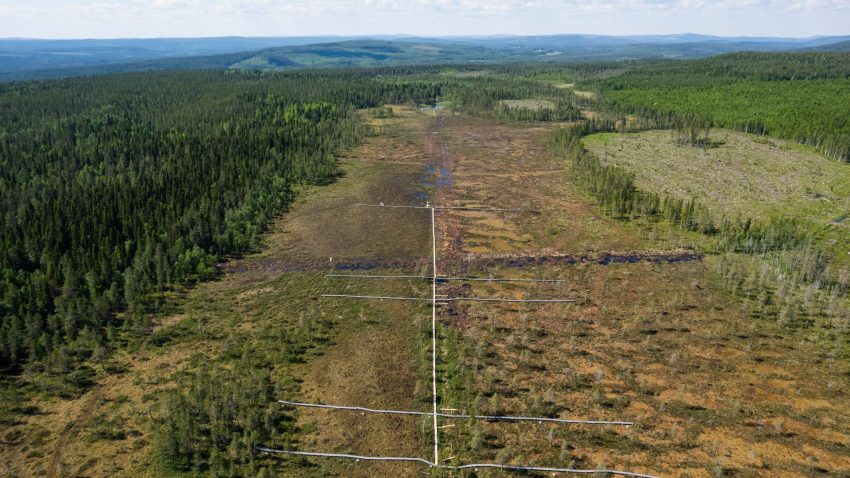 Flygbild på ett stort myrliknande fält med spångar utlagda.