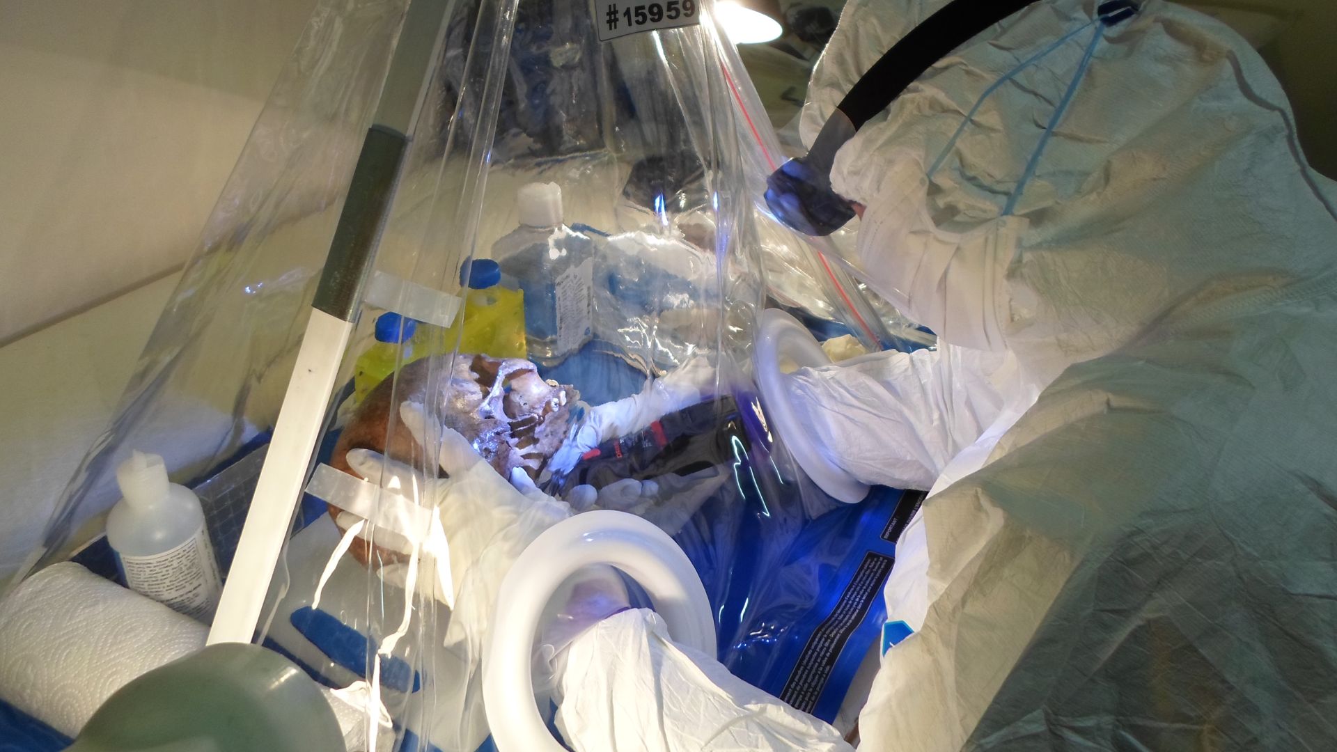 Människa i vit dräkt undersöker ett kranium innanför ett skyddande plasthölje.