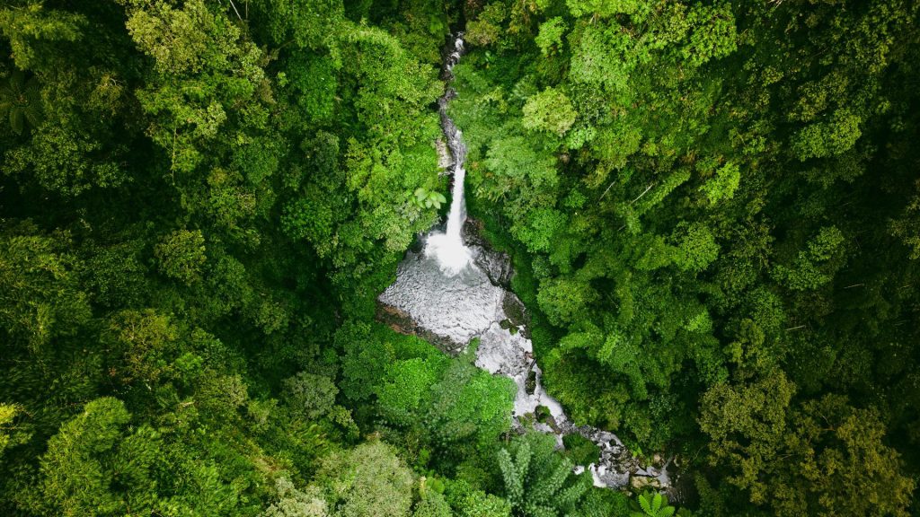 Grön regnskog med flod och vattenfall, sedd från ovan.