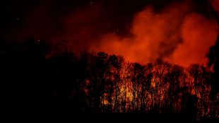 Röd brandrök syns mot svart natthimmel, träd i svart siluett.