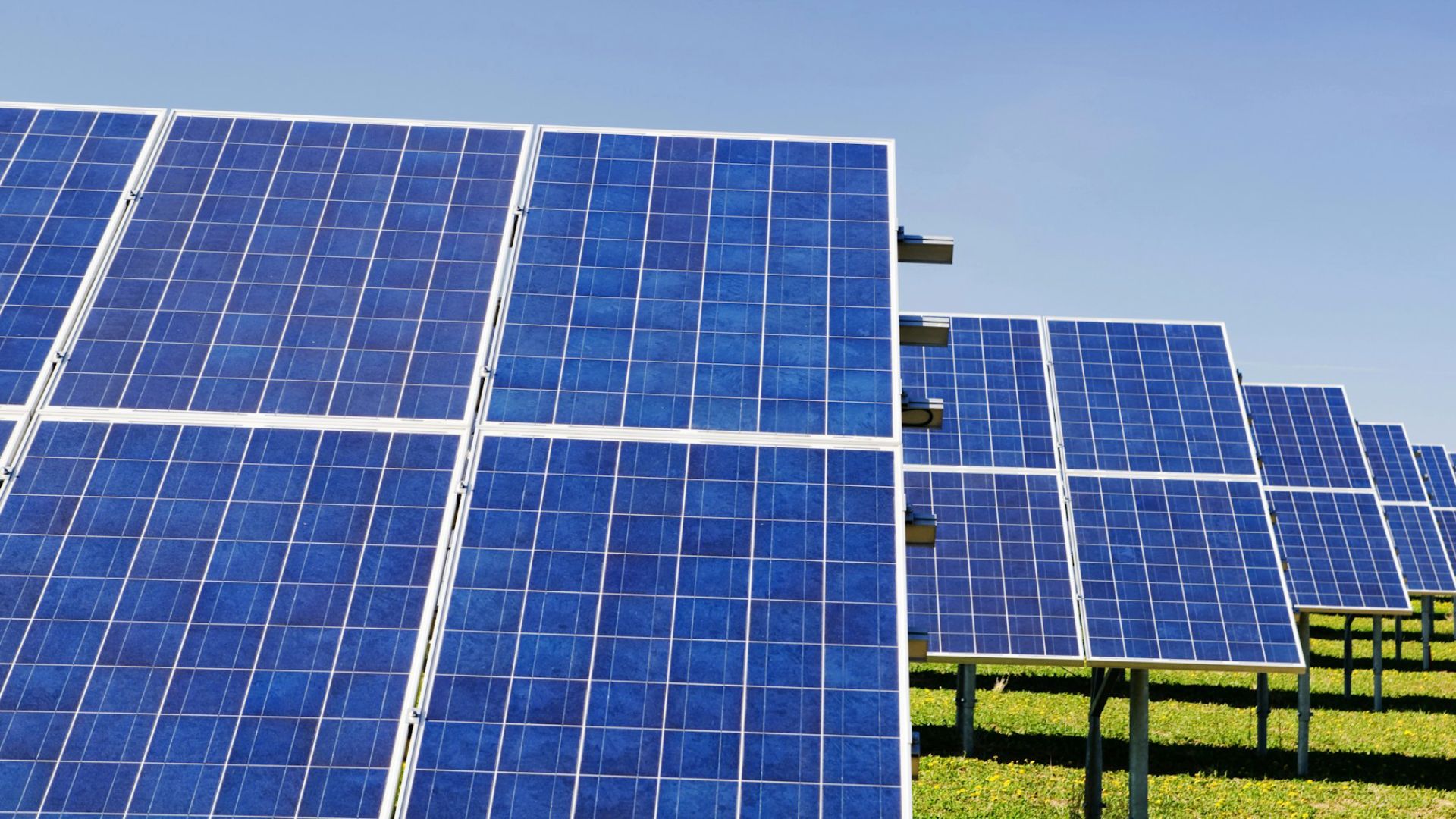 Rader av paneler med blå solceller, på grönt fält.