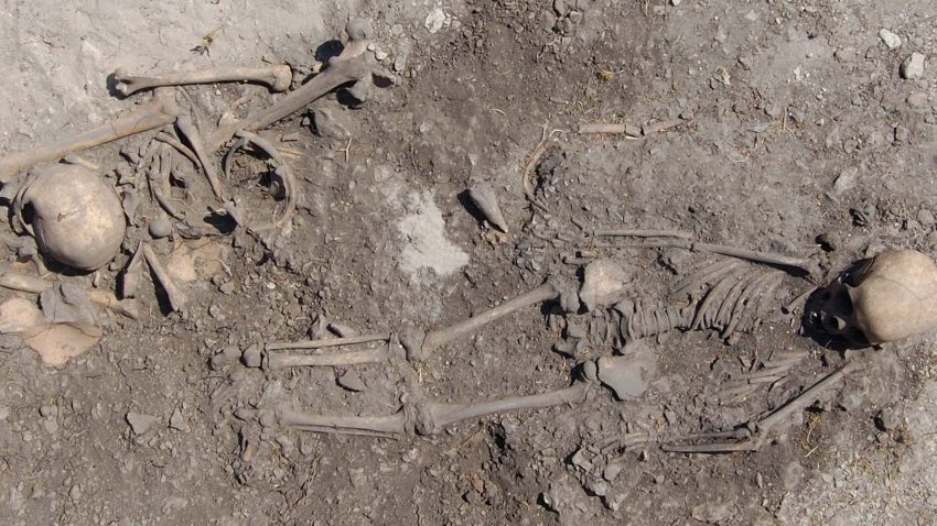 Två skelett i grav.