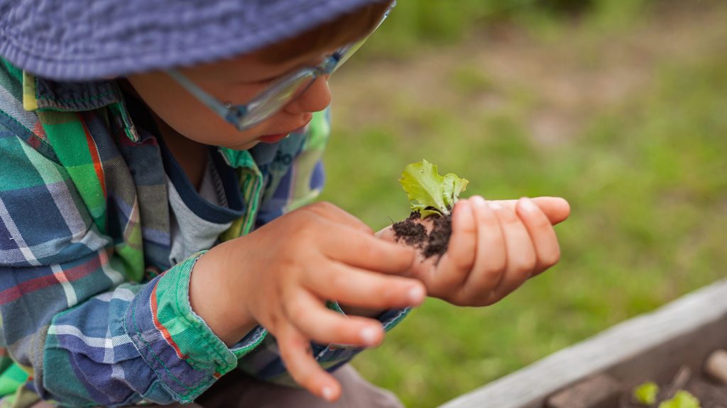 Barn inspekterar sallad.