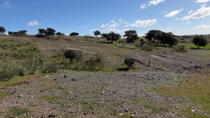 Gruvområde ses som kullar med lite växtlighet.