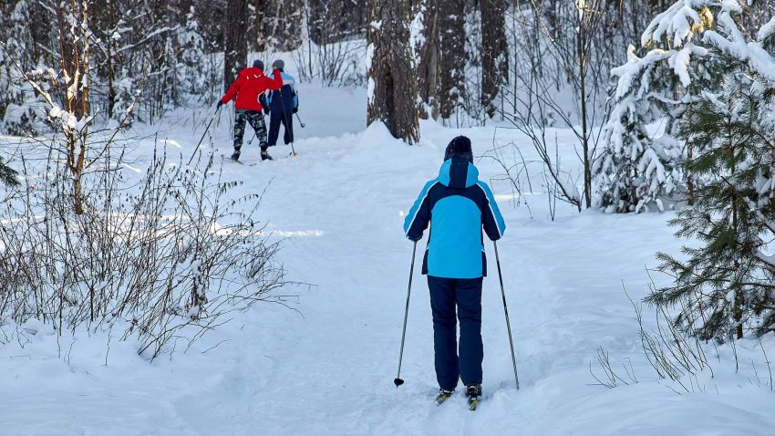 Amatörskidåkare på tur i skogen