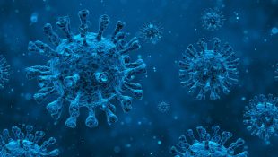 Illustration av det taggiga coronaviruset.