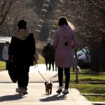 Två personer och en hund promenerar i vårväder, i motljus.