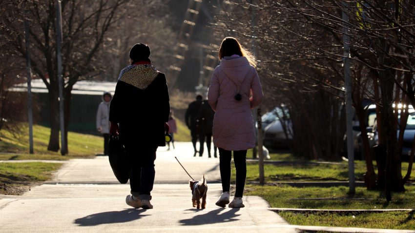 Två personer och en hund promenerar i vårväder, i motljus.