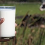 Hand håller i ett glas med komjölk. Äng och ko i bakgrunden.