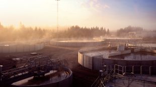 Ett reningsverk, utomhus, med bassänger. Dimma i luften.