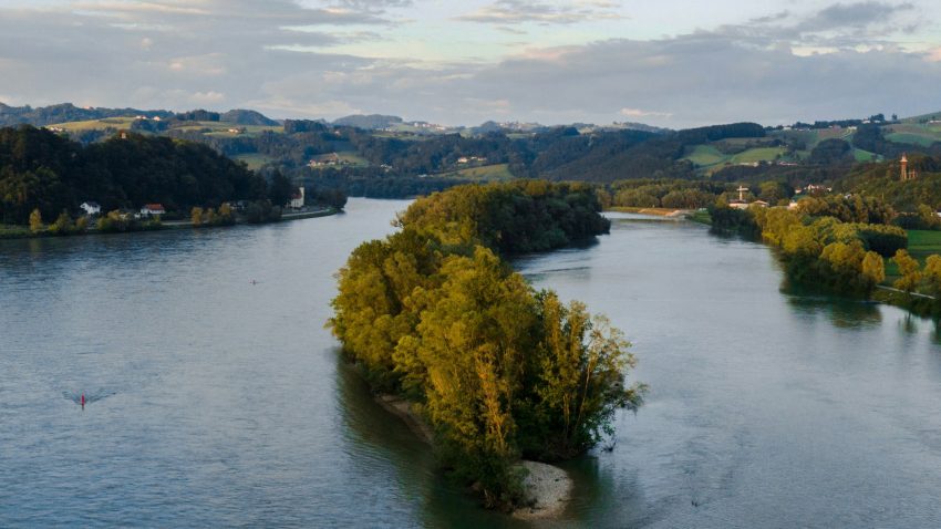 En bred flod med grönska i en sträng i mitten av floden.