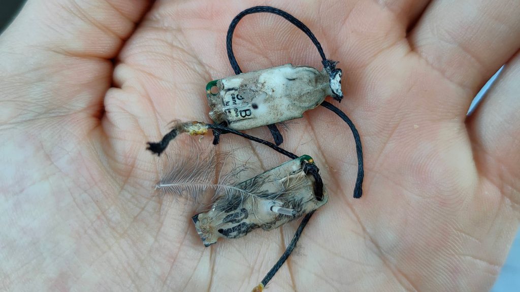 Sensorerna är mindre än en handflata.