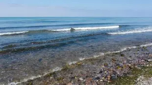Strandkant vid Östersjön